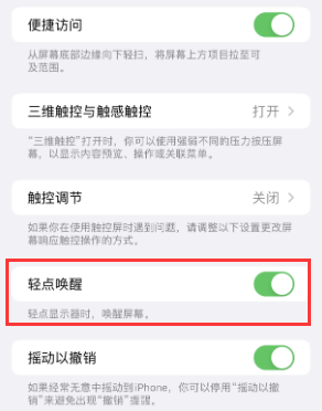 资阳苹果授权维修站分享iPhone轻点无法唤醒怎么办