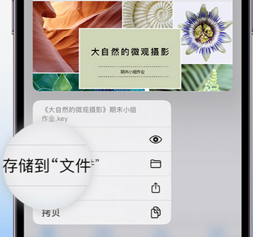 资阳apple维修中心分享iPhone文件应用中存储和找到下载文件