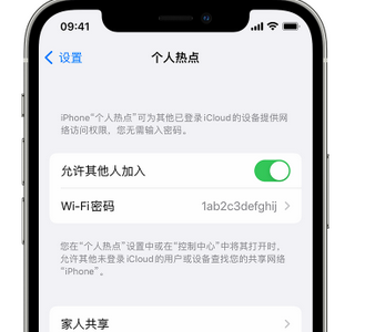 资阳apple服务站点分享iPhone上个人热点丢失了怎么办 