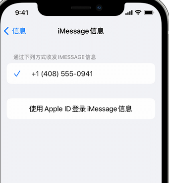 资阳apple维修iPhone上无法正常发送iMessage信息