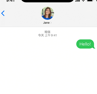 资阳apple维修iPhone上无法正常发送iMessage信息