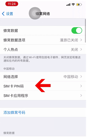 资阳苹果14维修网分享如何给iPhone14的SIM卡设置密码 