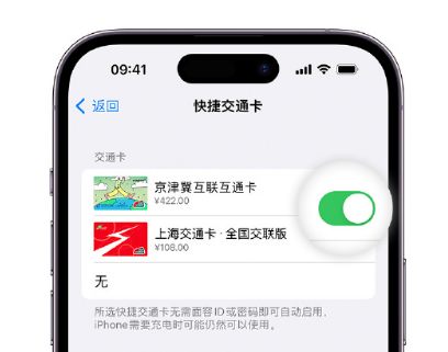 资阳apple维修点分享iPhone上更换Apple Pay快捷交通卡手绘卡面 