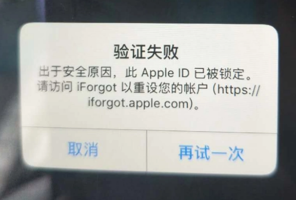 资阳iPhone维修分享iPhone上正常登录或使用AppleID怎么办 