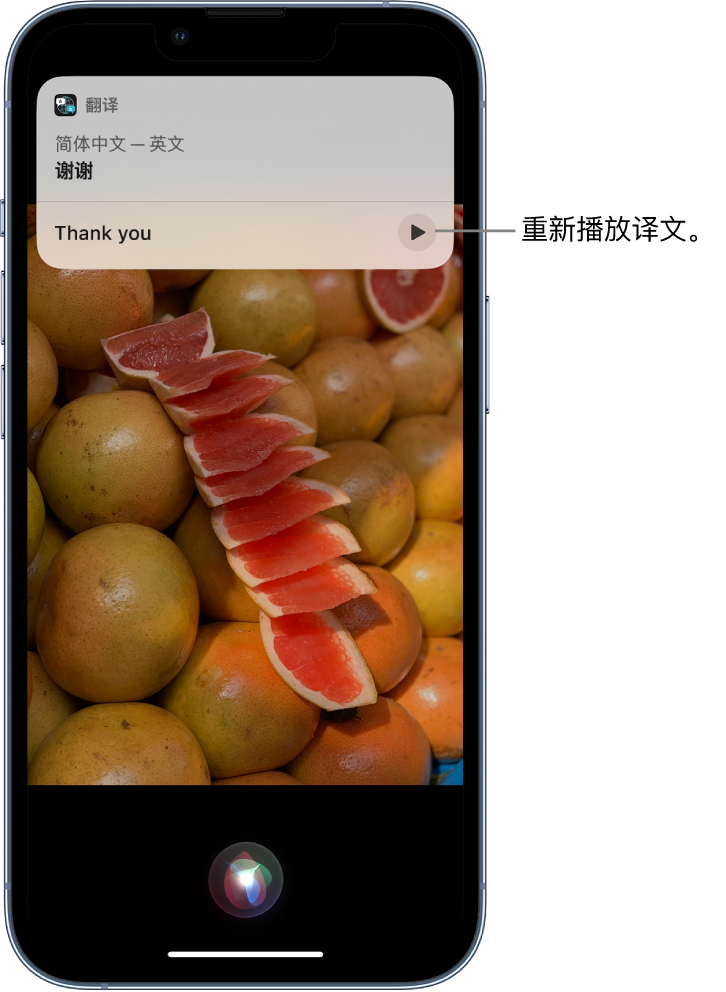 资阳苹果14维修分享 iPhone 14 机型中使用 Siri：了解 Siri 能帮你做什么 