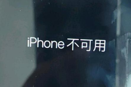 资阳苹果服务网点分享锁屏界面显示“iPhone 不可用”如何解决 