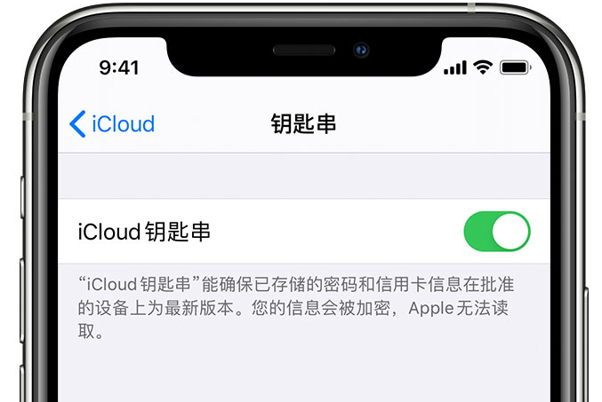 资阳苹果手机维修分享在 iPhone 上开启 iCloud 钥匙串之后会储存哪些信息 