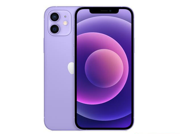 资阳苹果手机维修分享现阶段要不要入手紫色版iPhone12 