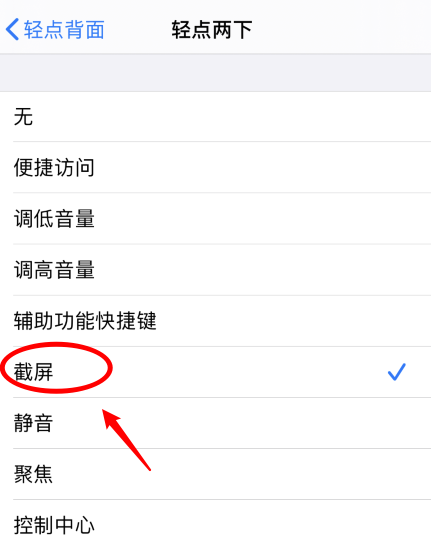 资阳苹果手机维修分享iPhone12如何启用双击截屏 